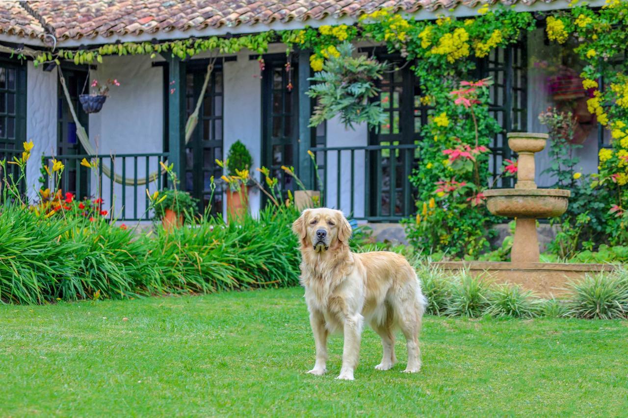 Casa San Nicolas Villa de Leyva Exteriör bild